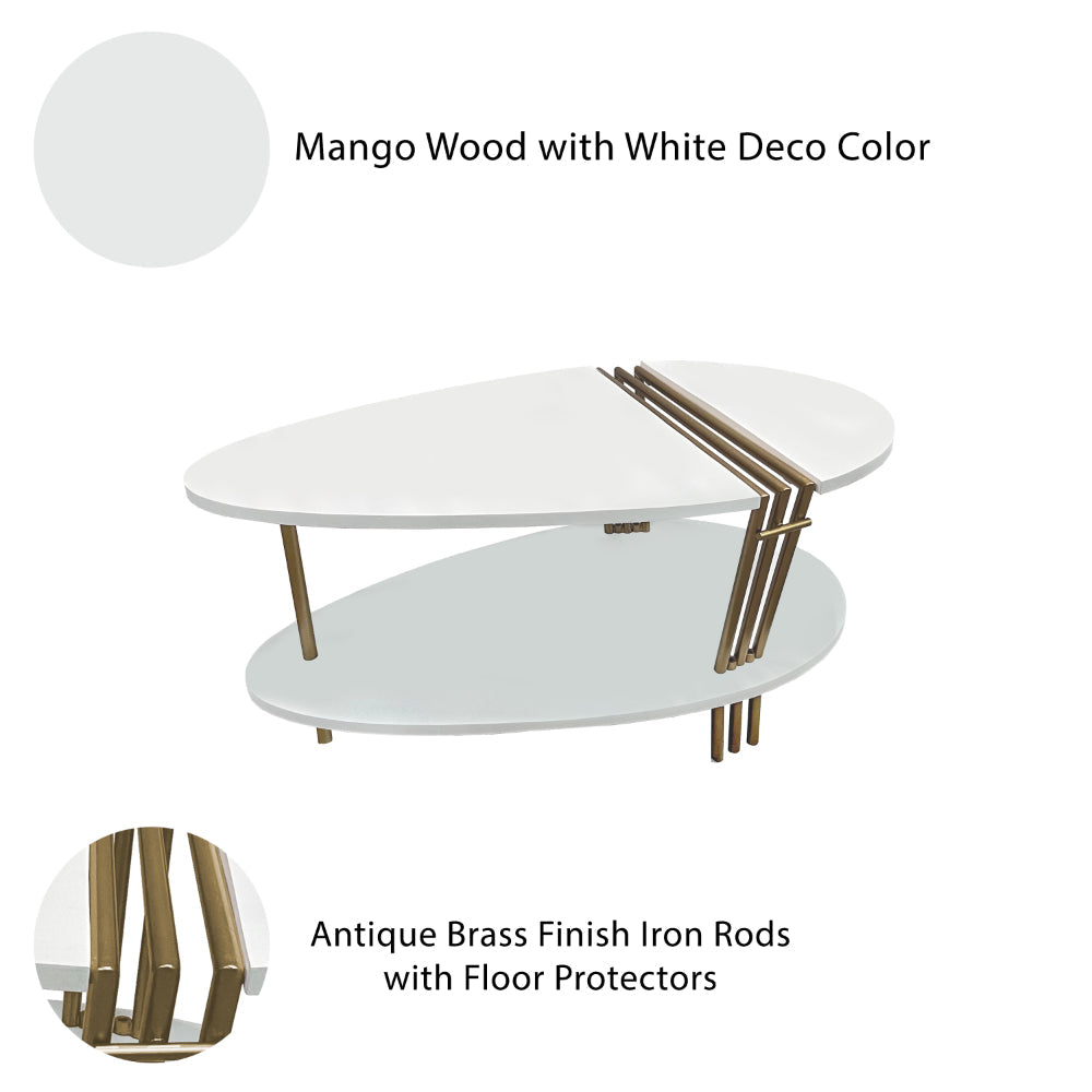 The Urban Port 36 Inch Modern Coffee Table, Oval Elliptical Shape, White Mango Wood With Antique Brass