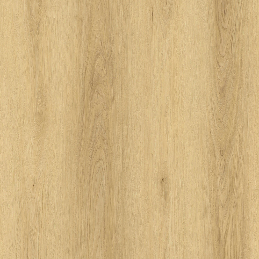 Parkay Floors XDP Dryback 9.25" x 60" Vinyl Plank Sierra
