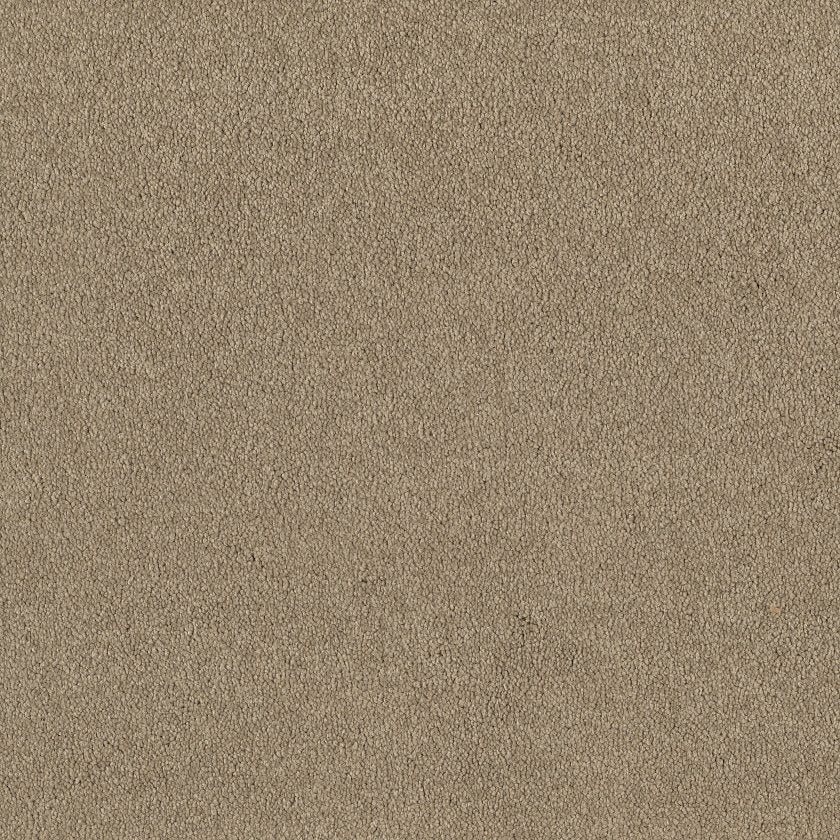 Shaw Floors Sandy Hollow I 15' x 110' Carpet Roll – Luxe Floor Studio