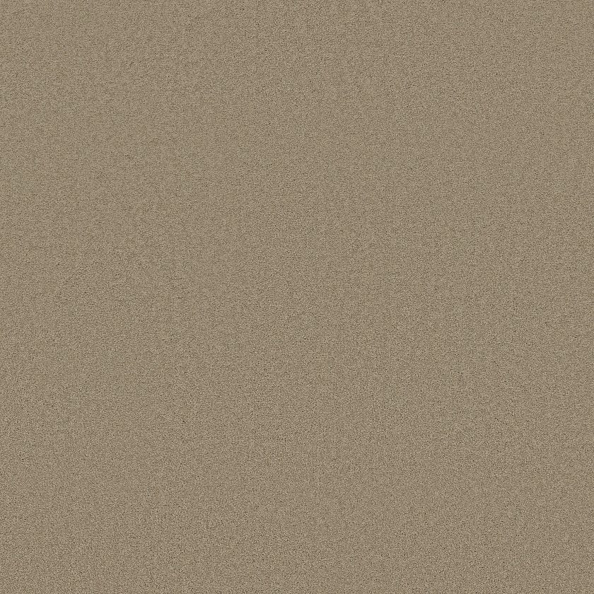 Shaw Floors Sandy Hollow I 15' x 110' Carpet Roll – Luxe Floor Studio